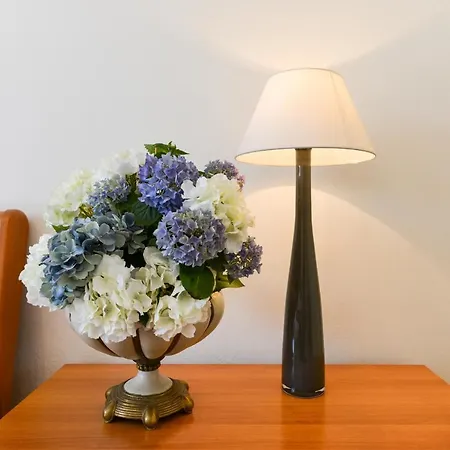 דירה Colak זאדאר