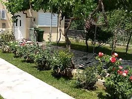 Colak * Zadar